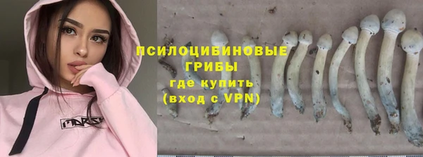 индика Бронницы