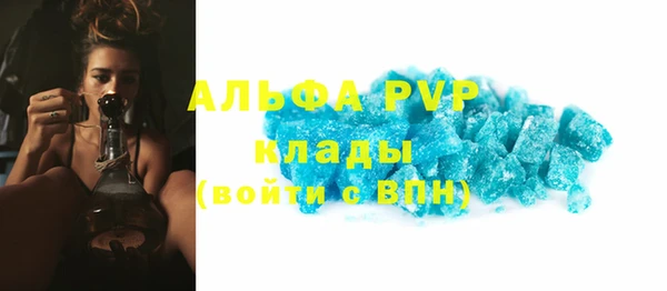 индика Бронницы
