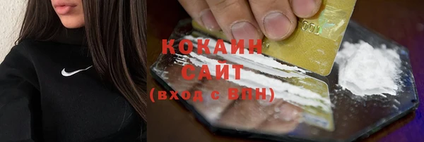 индика Бронницы