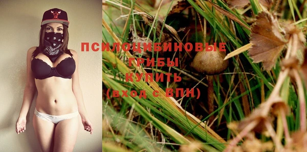 первитин Богданович