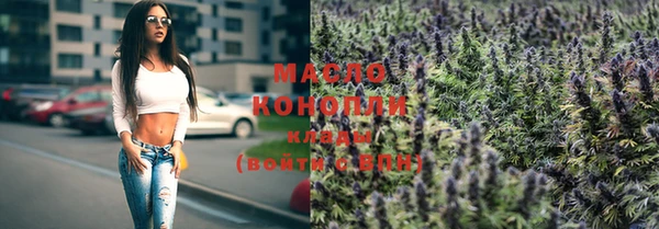 индика Бронницы