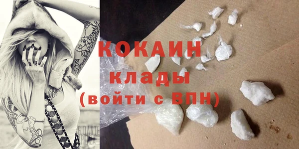 первитин Богданович