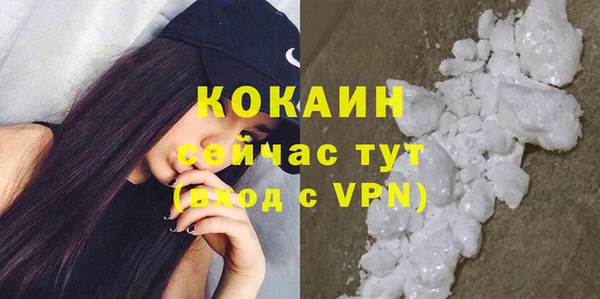 индика Бронницы