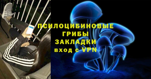 индика Бронницы