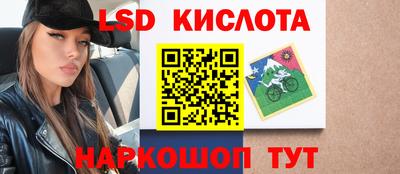 шишки Аргун