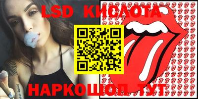 шишки Аргун