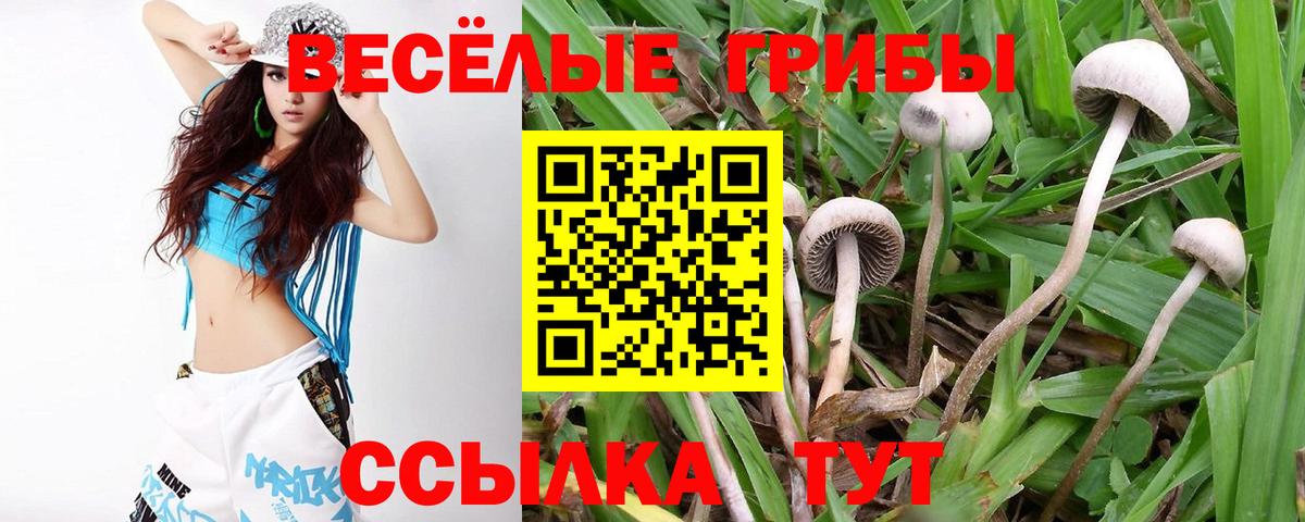 Галлюциногенные грибы прущие грибы Биробиджан